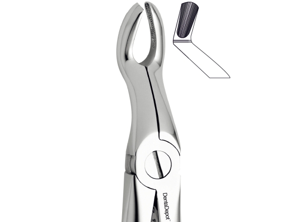 Extracting Forceps, English Pattern, Upper third molars / wisdom teeth either side