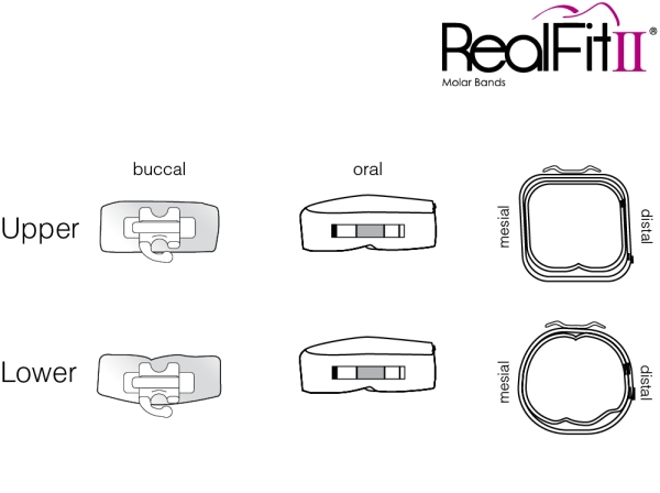 RealFit™ II snap - Maxillary - Triple combination + pal. Sheath (tooth 26, 27) Roth .018"