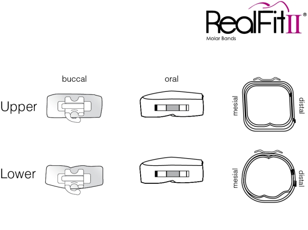RealFit™ II snap - Intro Kit - Maxillary - Double combination + pal. Sheath (tooth 17, 16, 26 ,27) Roth .022"