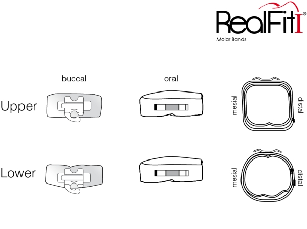 RealFit™ I - Intro Kit - Maxillary - Double combination + pal. Sheath (tooth 17, 16, 26 ,27) Roth .022"