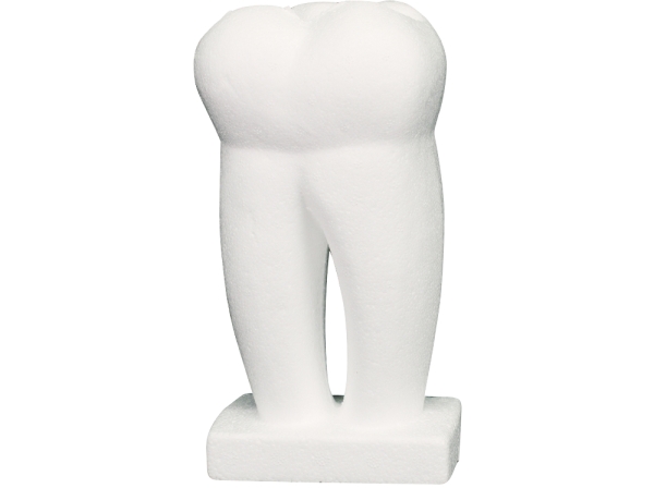 Styrofoam tooth St
