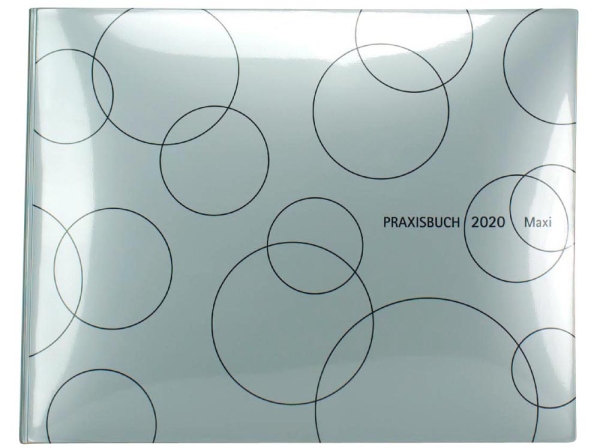 Praxisbuch Speiko Maxi 2025  St