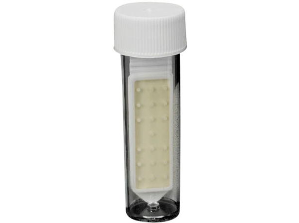 Biotest plus Germ Indicator St
